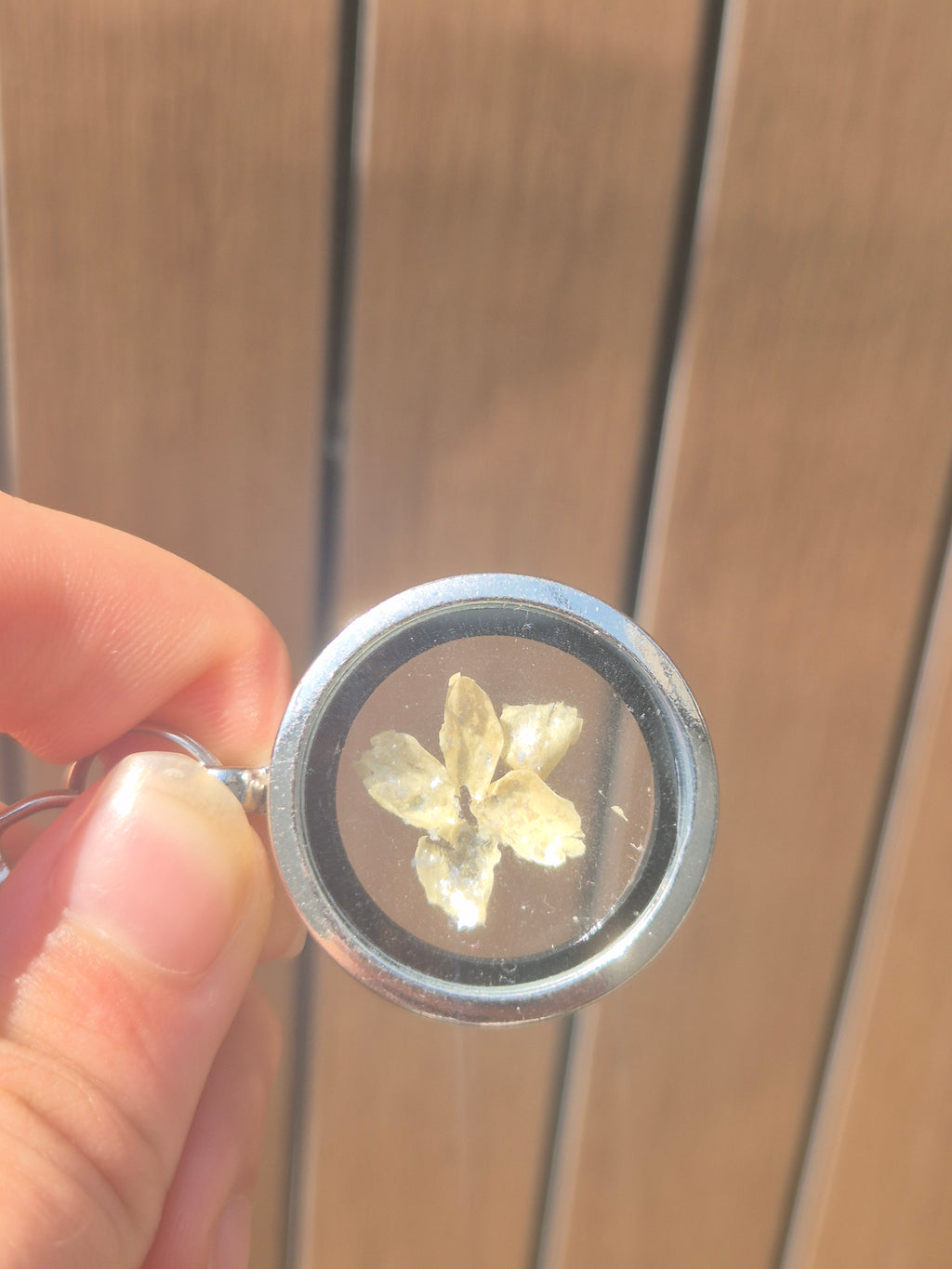 Pocketful of Petals